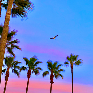 女上男下72式动态图
