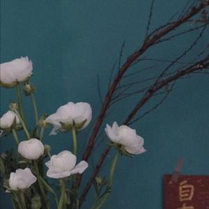 女上男下72式动态图
