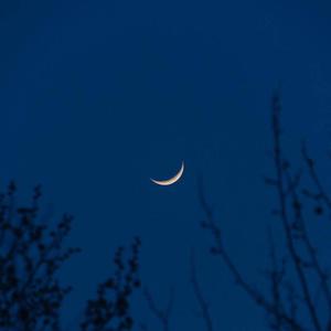 女上男下72式动态图
